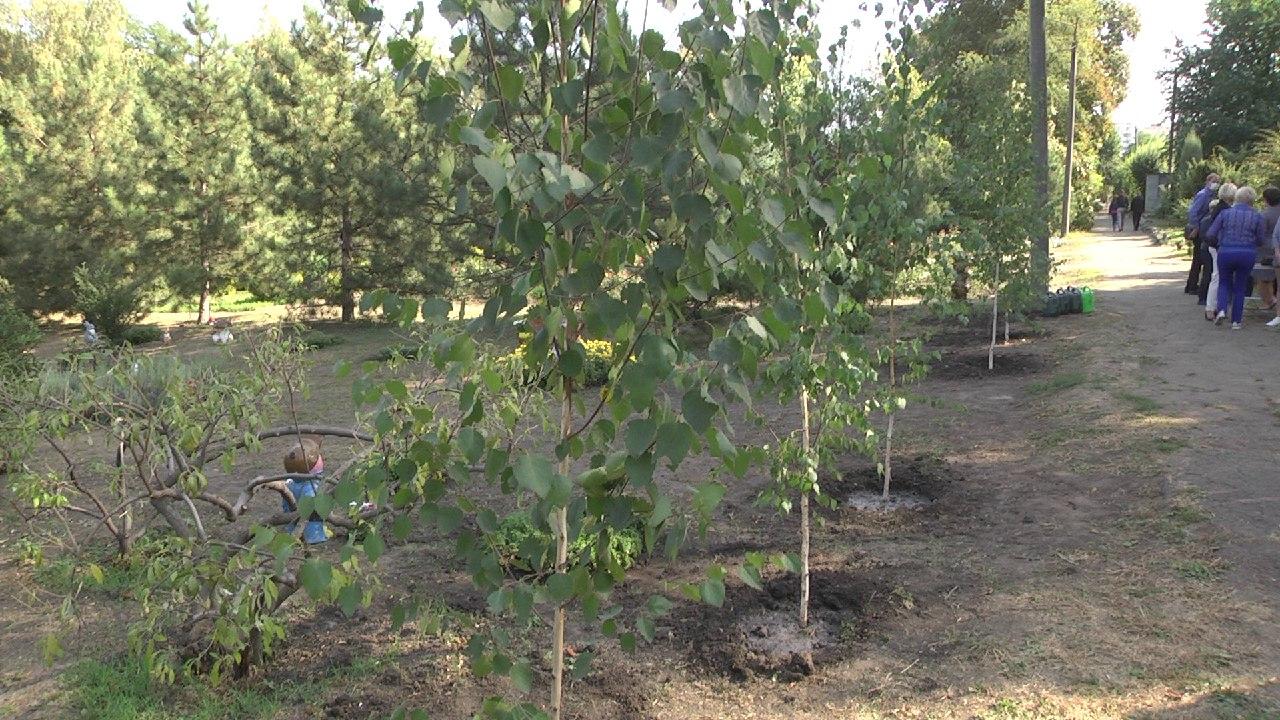 В Запорожском ботсаду открылась «Поляна сказок» (ФОТО) 5 В Запорожском ботсаду открылась «Поляна сказок» (ФОТО)