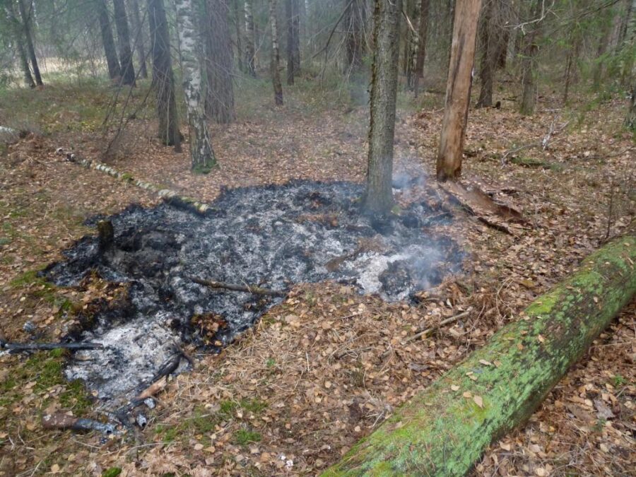 В Запорожской области сожгли мужчину: подробности убийства (ФОТО)