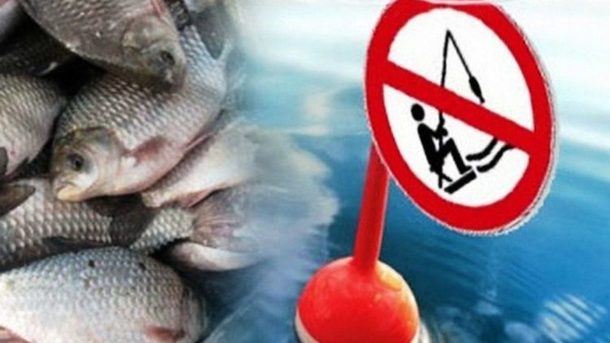 Зимняя рыбалка: где нельзя ловить рыбу в Запорожской области