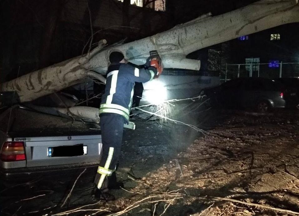 В Запорожье дерево рухнуло на автомобиль с водителем внутри: подробности (ФОТО)