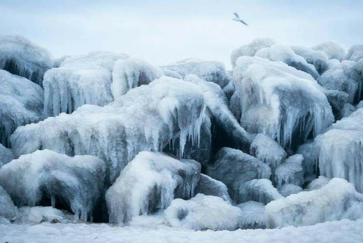 Азовское море во льдах: в Запорожской области природа сотворила ледяные скульптуры на воде (ФОТО)