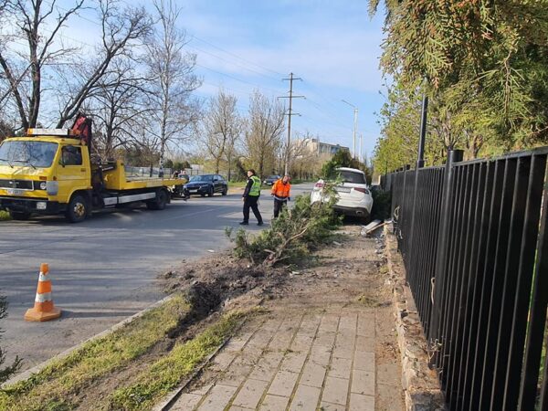 В Бердянске Mercedes снес электроопору: водитель был пьян - СМИ (ФОТО)