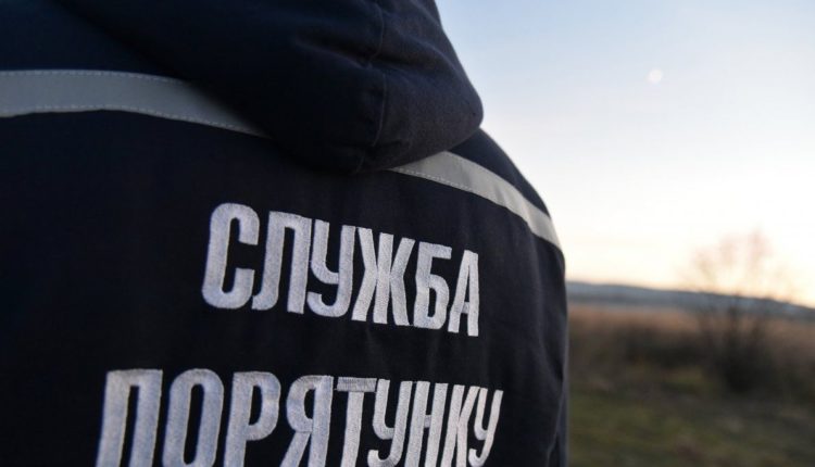 Возле Новобогдановки пиротехники нашли снаряды: подробности
