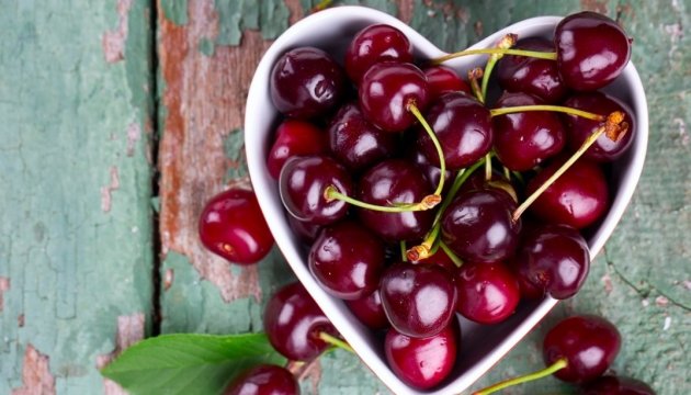Не всем по карману: в Мелитополе начали продавать первую черешню (ЦЕНЫ)