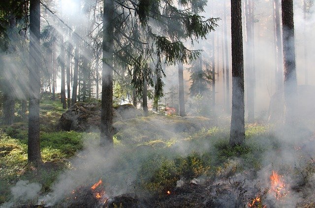 Жителей Запорожской области предупреждают об ухудшении погодных условий, - ГСЧС
