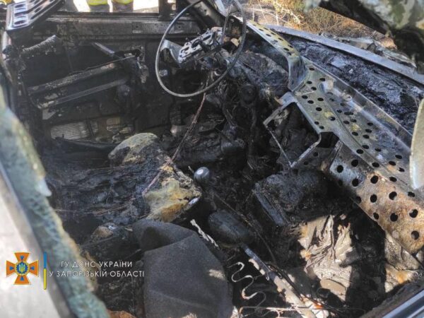 Под Запорожьем авто слетело с трассы, врезалось в дерево и загорелось (ФОТО)