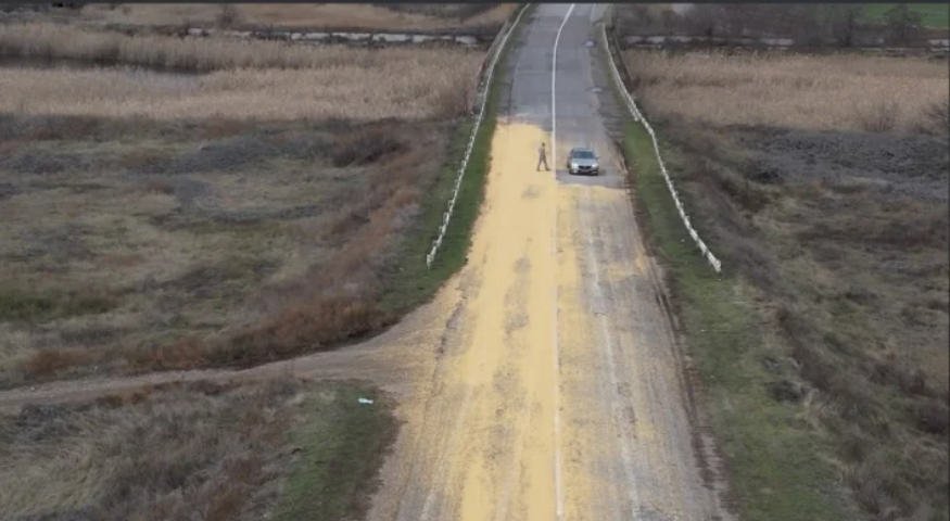 Дорога из кукурузы: под Мелитополем из зерновоза высыпался груз (ВИДЕО)