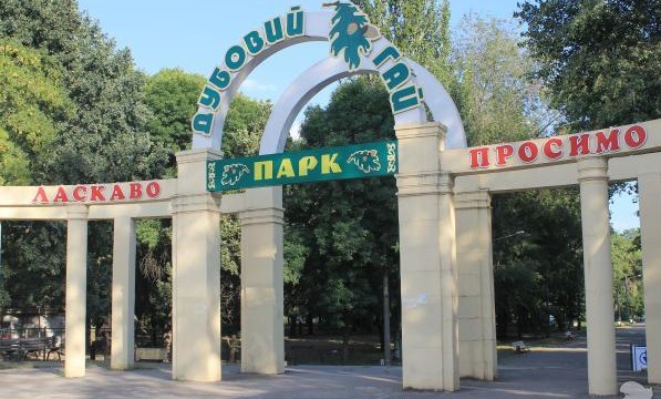 Из запорожской "Дубовки" похитили десятки кустарников и деревьев