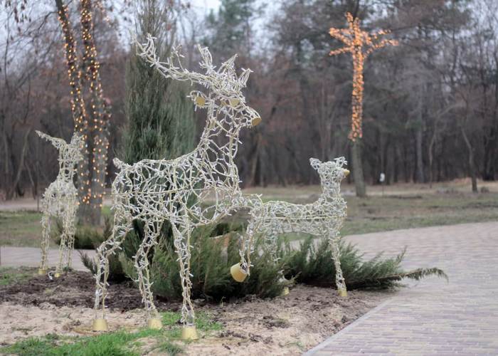 В Запорожье открыли рекордное количество новогодних локаций (ФОТО)