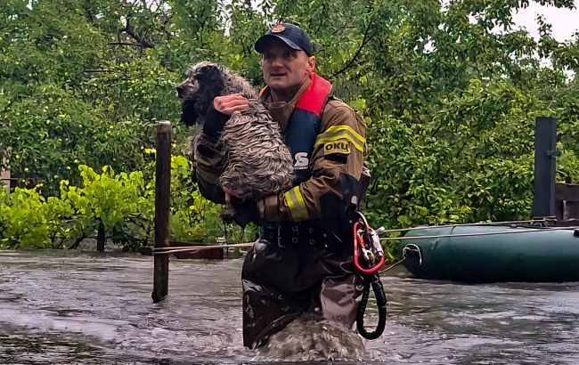 Повінь у Львові, підтоплені вулиці у Луцьку і не тільки: захід України потерпає від злив
