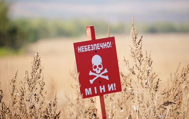 Смертельна пастка для дітей: в Україні з’явилися небезпечні боєприпаси, схожі на іграшки