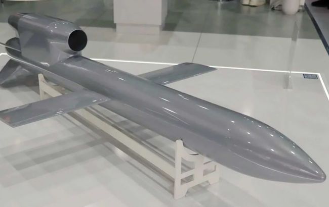 Чехи зібрали гроші на ракету "Фламінго" для ЗСУ за дві доби