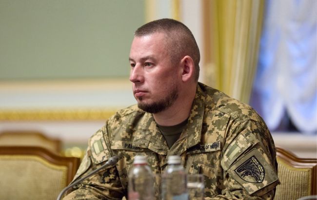 Паліса назвав єдину умову, за якої влада переглянe мобілізаційний вік