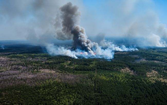 Величезна лісова пожежа на прикордонні Чернігівщини повернула в бік РФ