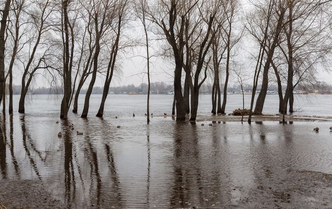 Весняні повені 2026: чи нашкодили річки українцям та де води досі "забагато"