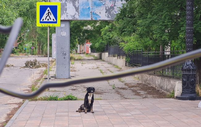 Херсонців попередили про мінування ворогом міста: яку ділянку радять оминати